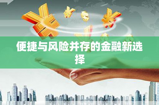 桃山便捷与风险并存的金融新选择