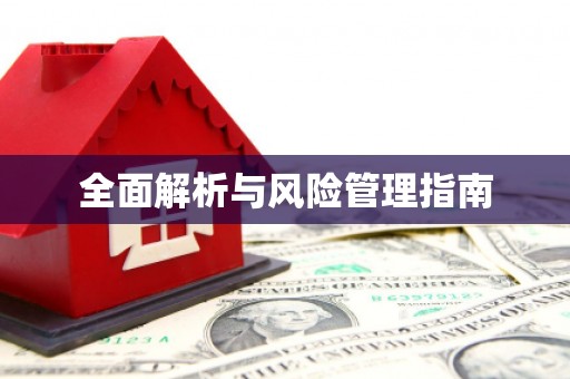 桃山全面解析与风险管理指南
