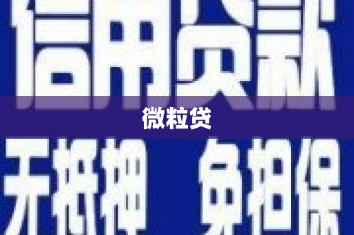 桃山微粒贷