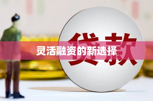桃山灵活融资的新选择