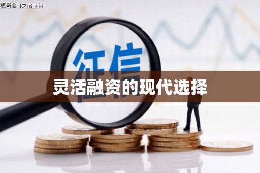 桃山灵活融资的现代选择