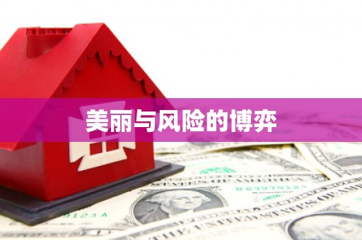 桃山美丽与风险的博弈