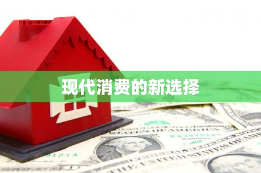 桃山现代消费的新选择
