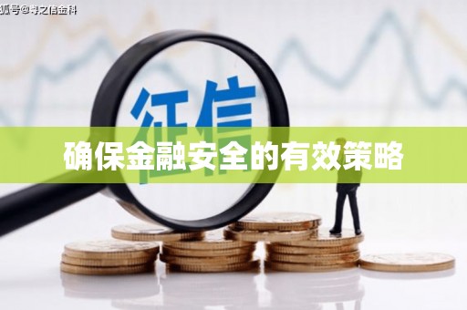 桃山确保金融安全的有效策略