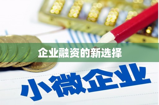 桃山企业融资的新选择