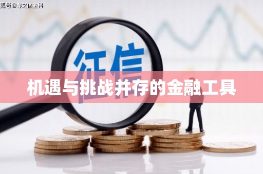 桃山机遇与挑战并存的金融工具