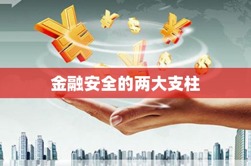 桃山金融安全的两大支柱