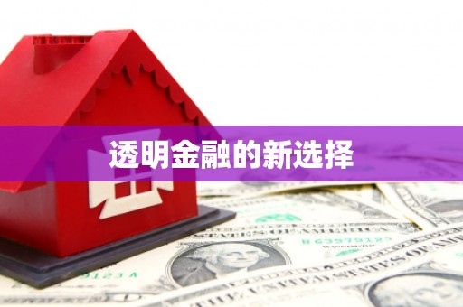 桃山透明金融的新选择