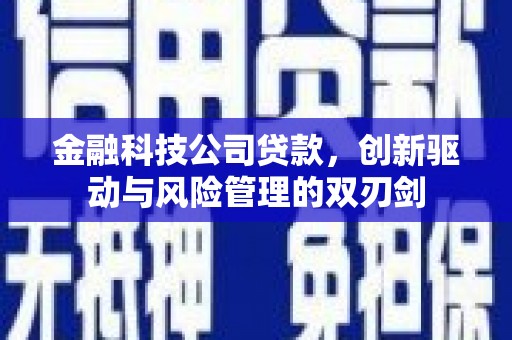 桃山金融科技公司贷款，创新驱动与风险管理的双刃剑